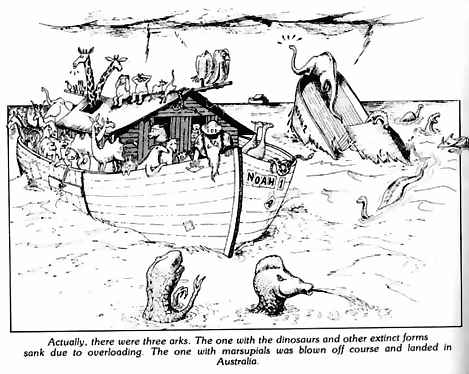 cartoon on the Bible and Noah's Ark